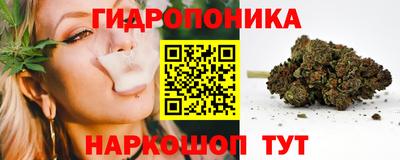 ALPHA PVP Партизанск