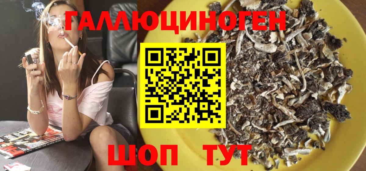 Псилоцибиновые грибы Psilocybe Ступино
